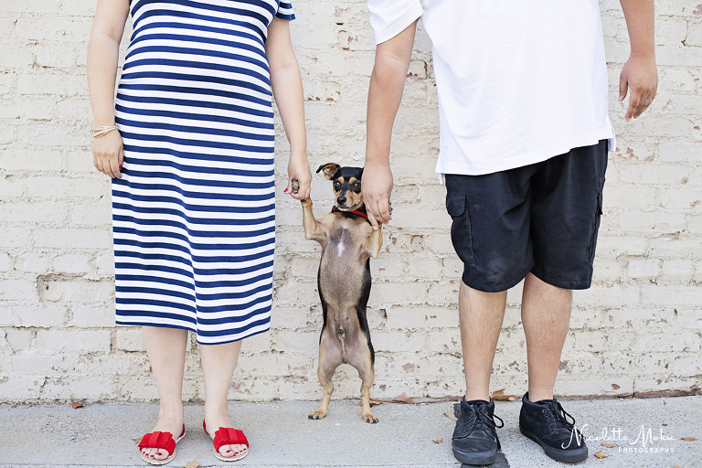 whittier maternity session