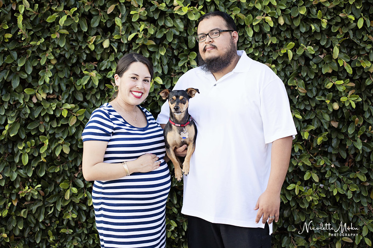whittier maternity session