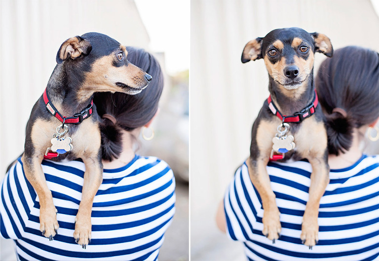 whittier maternity session