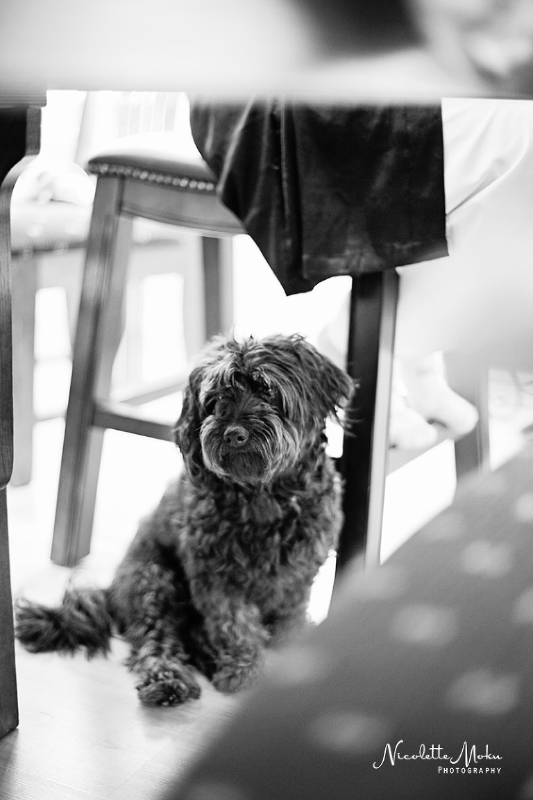 Riverside wedding, outdoor wedding, intimate wedding, diy wedding, homemade bouquet, citrus historical park wedding, I.E wedding, small wedding, california state historical park, orange grove wedding, citrus grove wedding, summer wedding, I.E wedding photographer, Riverside wedding photographer, Nicolette Moku Photography wedding, peony bouquet, Inland Empire wedding photographer, black and white wedding photos