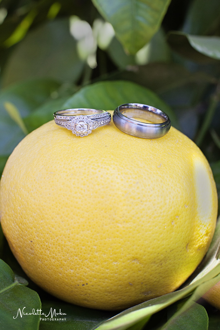 Riverside wedding, outdoor wedding, intimate wedding, diy wedding, homemade bouquet, citrus historical park wedding, I.E wedding, small wedding, california state historical park, orange grove wedding, citrus grove wedding, summer wedding, I.E wedding photographer, Riverside wedding photographer, Nicolette Moku Photography wedding, peony bouquet, Inland Empire wedding photographer, black and white wedding photos