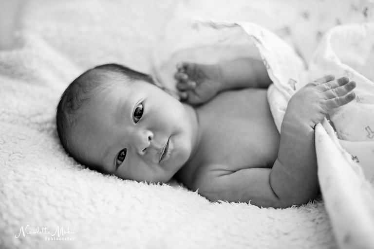 newborn photos, whittier newborn pictures, whittier newborn photographer, santa fe springs newborn photos, santa fe springs newborn photographer, l.a newborn photographer, cardinal baseball newborn photos, black and white newborn portraits, classic newborn portraits, whittier photographer, whittier lifestyle photographer