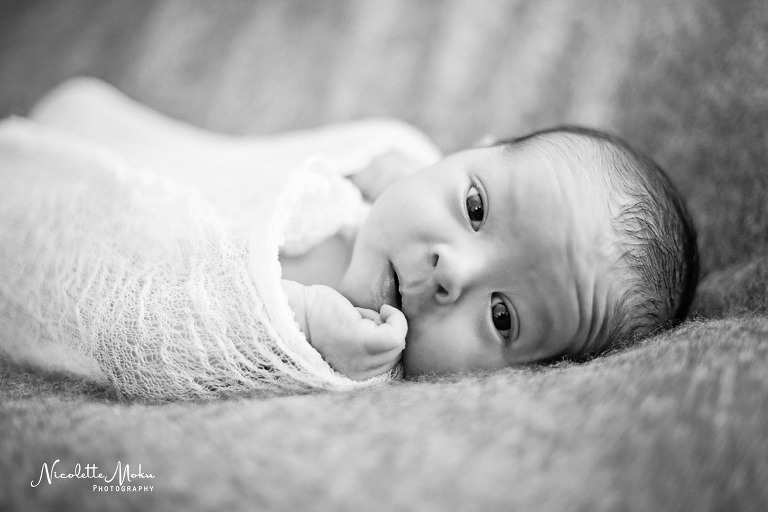 newborn photos, whittier newborn pictures, whittier newborn photographer, santa fe springs newborn photos, santa fe springs newborn photographer, l.a newborn photographer, cardinal baseball newborn photos, black and white newborn portraits, classic newborn portraits, whittier photographer, whittier lifestyle photographer