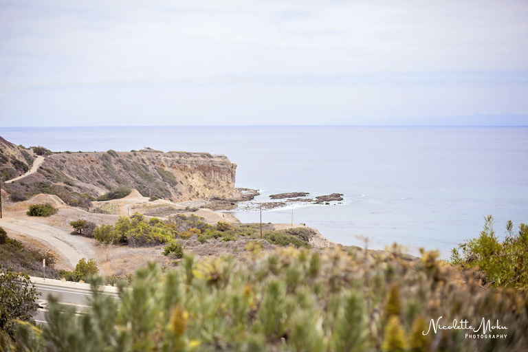 Palos Verdes wedding, glass chapel wedding, wayfarer's chapel wedding, vintage wedding, travel theme wedding, blue wedding, lace wedding gown, ivanka trump wedding shoes, queen mary wedding, queen mary grand salon wedding, san vicente park wedding portraits, beach view wedding, southern california wedding, black and white wedding photos, fun and classy wedding, lace wedding dress, hydrangea flower arrangements, unique wedding theme, southern california wedding photographer, los angeles wedding photographer, long beach wedding photographer, palos verdes wedding photographer