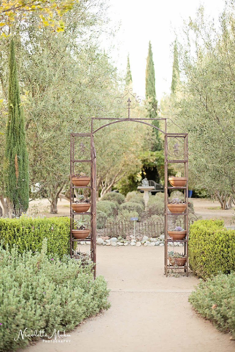 pasadena engagement, garden engagement session, los angeles engagement session, pasadena wedding photographer, pasadena engagement photographer, lifestyle wedding photographer, lifestyle engagement photographer, natural light photographer, southern california engagement photographer, sunset engagement pictures, golden hour engagement, summer engagement 