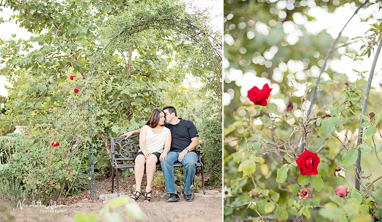 pasadena engagement, garden engagement session, los angeles engagement session, pasadena wedding photographer, pasadena engagement photographer, lifestyle wedding photographer, lifestyle engagement photographer, natural light photographer, southern california engagement photographer, sunset engagement pictures, golden hour engagement, summer engagement 