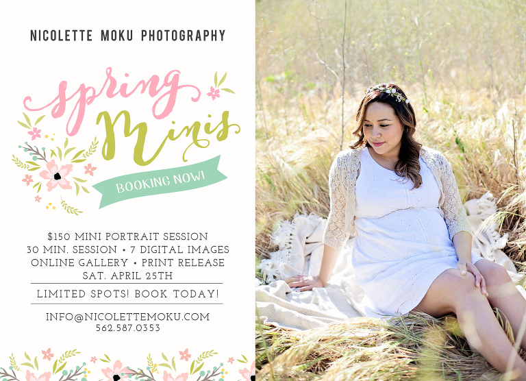 mini session, spring mini session, mini portrait session, los angeles photographer, mini maternity session, mini family photo session, whittier photographer, hacienda heights photographer, rowland heights photographer, whittier family photographer, lifestyle photographer, family lifestyle photographer, maternity lifestyle photographer, outdoor photographer, family portrait session, spring photos, mother's day portraits