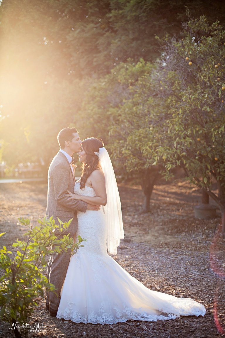 orange county wedding, orange county wedding photographer, diy wedding, coral wedding, coral garden wedding, spanish decorated wedding, spanish garden wedding, outdoor wedding, outdoor reception, santa ana wedding, oc wedding, heritage museum wedding, vintage inspired tux, tweed tux, unique bow tie, romantic outdoor wedding, romantic garden wedding, sunset wedding portraits, los angeles wedding, la county wedding photographer, santa ana photographer, santa ana wedding photographer, santa ana lifestyle photographer, heritage museum photographer