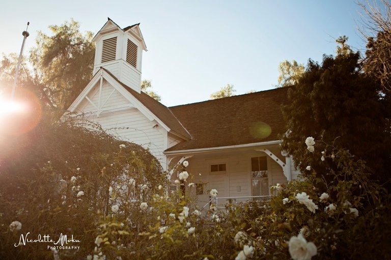 green gables wedding estate, green gables wedding, san marcos wedding, san diego wedding, detail filled wedding, upscale wedding, luxury wedding, china plates, gorgeous flowers, prestine design flowers, san diego county wedding, garden wedding, outdoor wedding, whimsical wedding, gorgeous lighting wedding, tented wedding, antique wedding, gorgeous venue, blush and pink flowers, blush wedding, champagne wedding, orange county wedding, orange county wedding photographer, oc wedding photographer, san diego wedding photographer
