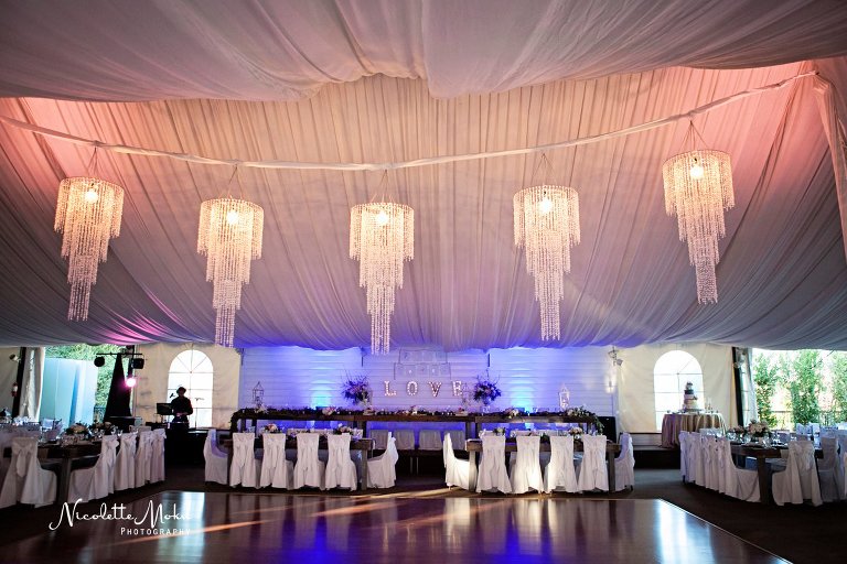 green gables wedding estate, green gables wedding, san marcos wedding, san diego wedding, detail filled wedding, upscale wedding, luxury wedding, china plates, gorgeous flowers, prestine design flowers, san diego county wedding, garden wedding, outdoor wedding, whimsical wedding, gorgeous lighting wedding, tented wedding, antique wedding, gorgeous venue, blush and pink flowers, blush wedding, champagne wedding, orange county wedding, orange county wedding photographer, oc wedding photographer, san diego wedding photographer