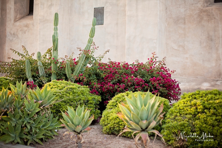 outdoor engagement session, pasadena city hall wedding, pasadena city hall wedding portraits, pink wedding, romantic engagement photos, san gabriel mission, san gabriel mission engagement, san gabriel photographer, san gabriel playhouse, san gabriel playhouse engagement, spanish engagement session, sunlit engagement session, sunset engagement photos, water fountain, whittier engagement photographer, whittier photographer, whittier wedding photographer, san gabriel engagement session, san gabriel photographer, golden hour engagement, golden light, sunset photos, sunset engagement