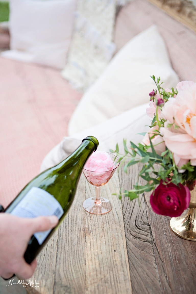 la jolla wedding, san diego wedding, la jolla outdoor wedding, southern california wedding, la jolla scripps wedding, cotton candy themed wedding, gorgeous floral decor, customized wedding decor, pink wedding, whimsical wedding, pink whimsical wedding, asian wedding, multicultural wedding, intimate outdoor wedding, orange county wedding photographer, whittier wedding photographer, whittier photographer, los angeles wedding photographer