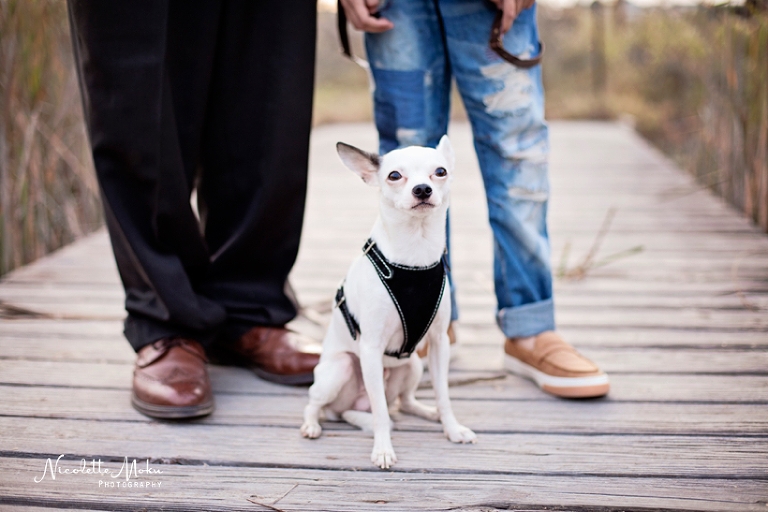 whittier family photographer, whittier photographer, newport back bay photos, newport back bay family photos, newport photographer, natural light photographer, natural light family photographer, natural light family photographer, timeliness family photos, outdoor family photos, nature family photos, family photos on a dock, sunset family photos, orange county family photos, orange county outdoor family photos