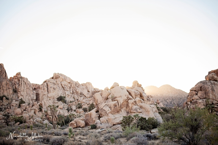 joshua tree engagement, joshua tree engagement session, joshua tree national park, desert engagement session, desert engagement, outdoor engagement session, golden hour engagement session, warm light, natural light engagement session, natural light photographer, natural light engagement photographer, natural light wedding photographer, lifestyle engagement photographer, engagement session on rocks, whittier photographer, whittier engagement photographer, whittier wedding photographer