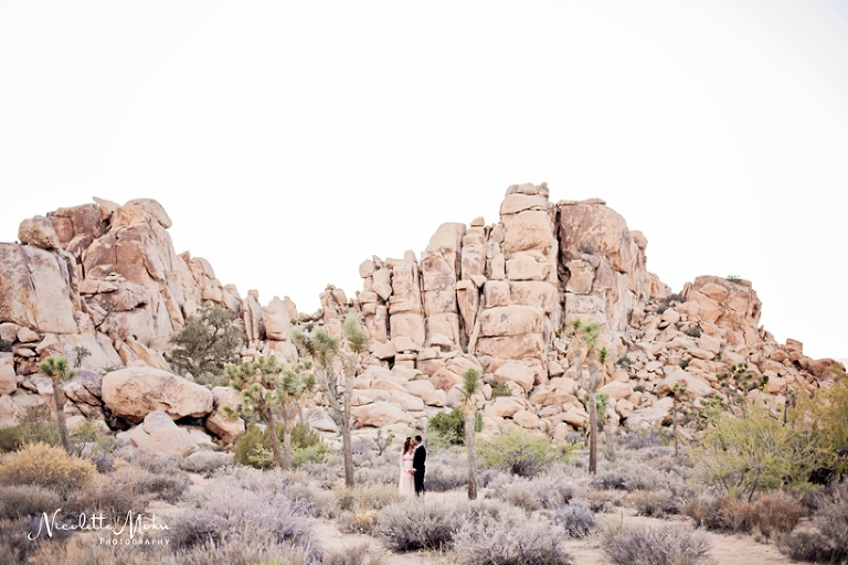 joshua tree engagement, joshua tree engagement session, joshua tree national park, desert engagement session, desert engagement, outdoor engagement session, golden hour engagement session, warm light, natural light engagement session, natural light photographer, natural light engagement photographer, natural light wedding photographer, lifestyle engagement photographer, engagement session on rocks, whittier photographer, whittier engagement photographer, whittier wedding photographer