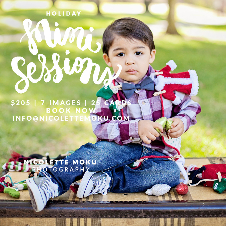 holiday-minis-with-cards