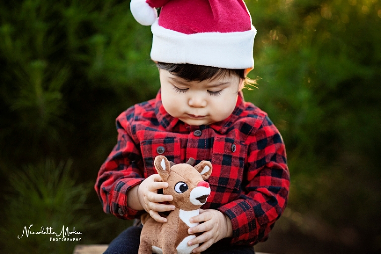christmas portrait session, christmas tree portraits, christmas tree farm portraits, peltzer tree farm, orange county christmas session, baby portraits, christmas baby portraits, outdoor christmas tree session, whittier photographer, whittier family photographer, whittier lifestyle photographer