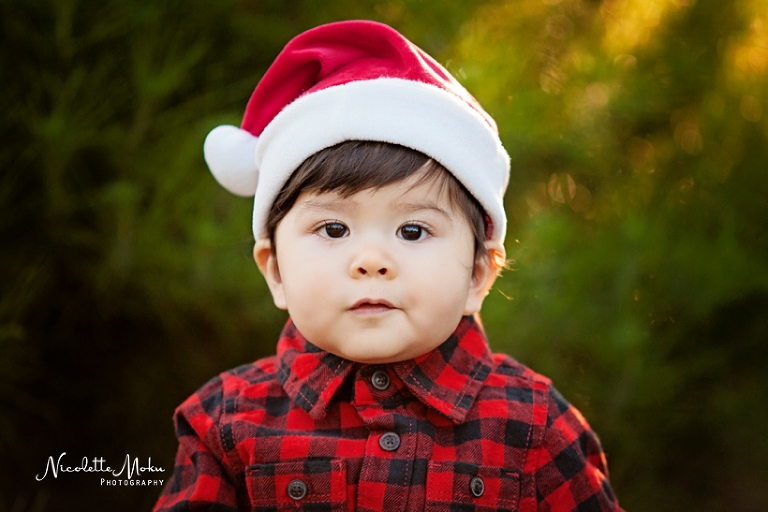 christmas portrait session, christmas tree portraits, christmas tree farm portraits, peltzer tree farm, orange county christmas session, baby portraits, christmas baby portraits, outdoor christmas tree session, whittier photographer, whittier family photographer, whittier lifestyle photographer
