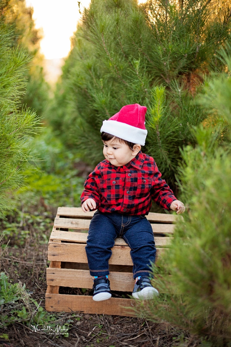 christmas portrait session, christmas tree portraits, christmas tree farm portraits, peltzer tree farm, orange county christmas session, baby portraits, christmas baby portraits, outdoor christmas tree session, whittier photographer, whittier family photographer, whittier lifestyle photographer