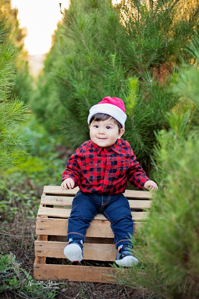 christmas portrait session, christmas tree portraits, christmas tree farm portraits, peltzer tree farm, orange county christmas session, baby portraits, christmas baby portraits, outdoor christmas tree session, whittier photographer, whittier family photographer, whittier lifestyle photographer