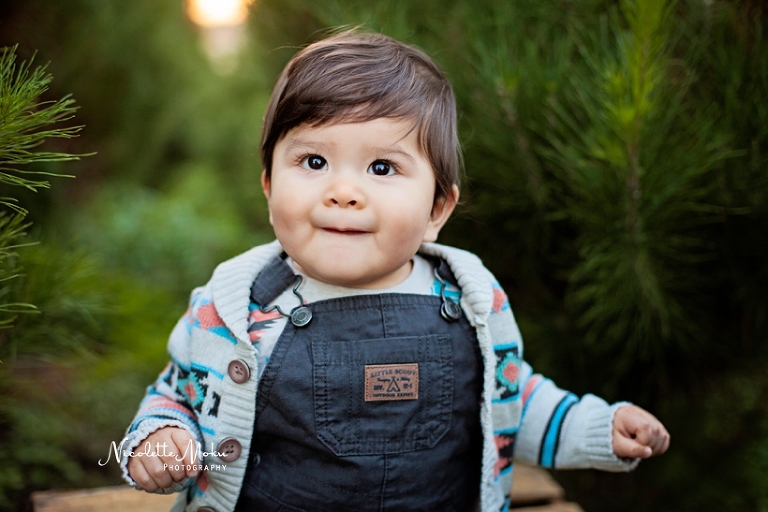 christmas portrait session, christmas tree portraits, christmas tree farm portraits, peltzer tree farm, orange county christmas session, baby portraits, christmas baby portraits, outdoor christmas tree session, whittier photographer, whittier family photographer, whittier lifestyle photographer