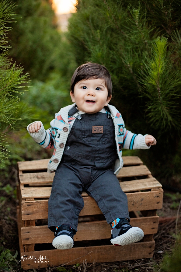 christmas portrait session, christmas tree portraits, christmas tree farm portraits, peltzer tree farm, orange county christmas session, baby portraits, christmas baby portraits, outdoor christmas tree session, whittier photographer, whittier family photographer, whittier lifestyle photographer
