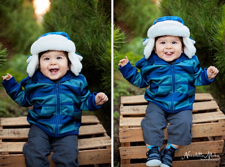 christmas portrait session, christmas tree portraits, christmas tree farm portraits, peltzer tree farm, orange county christmas session, baby portraits, christmas baby portraits, outdoor christmas tree session, whittier photographer, whittier family photographer, whittier lifestyle photographer