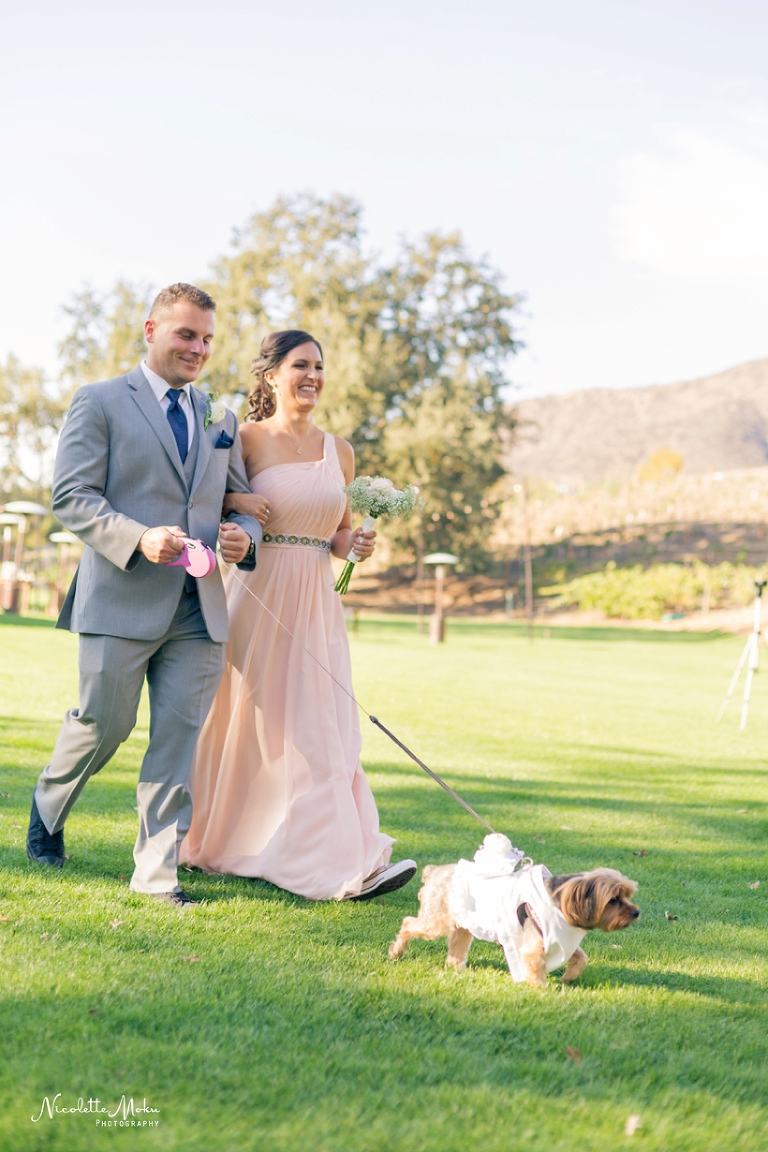 triunfo vineyard wedding, agoura hills wedding, winery wedding, malibu winery wedding, rustic wedding, southern california wedding, socal wedding, blush wedding, diy wedding, oak tree wedding, feathered arrow events, kreative hands, nicolette moku photographer, whittier photographer, los angeles wedding photographer, whittier wedding photographer, orange county wedding photographer, natural light wedding photographer