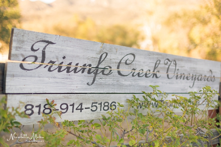 triunfo vineyard wedding, agoura hills wedding, winery wedding, malibu winery wedding, rustic wedding, southern california wedding, socal wedding, blush wedding, diy wedding, oak tree wedding, feathered arrow events, kreative hands, nicolette moku photographer, whittier photographer, los angeles wedding photographer, whittier wedding photographer, orange county wedding photographer, natural light wedding photographer