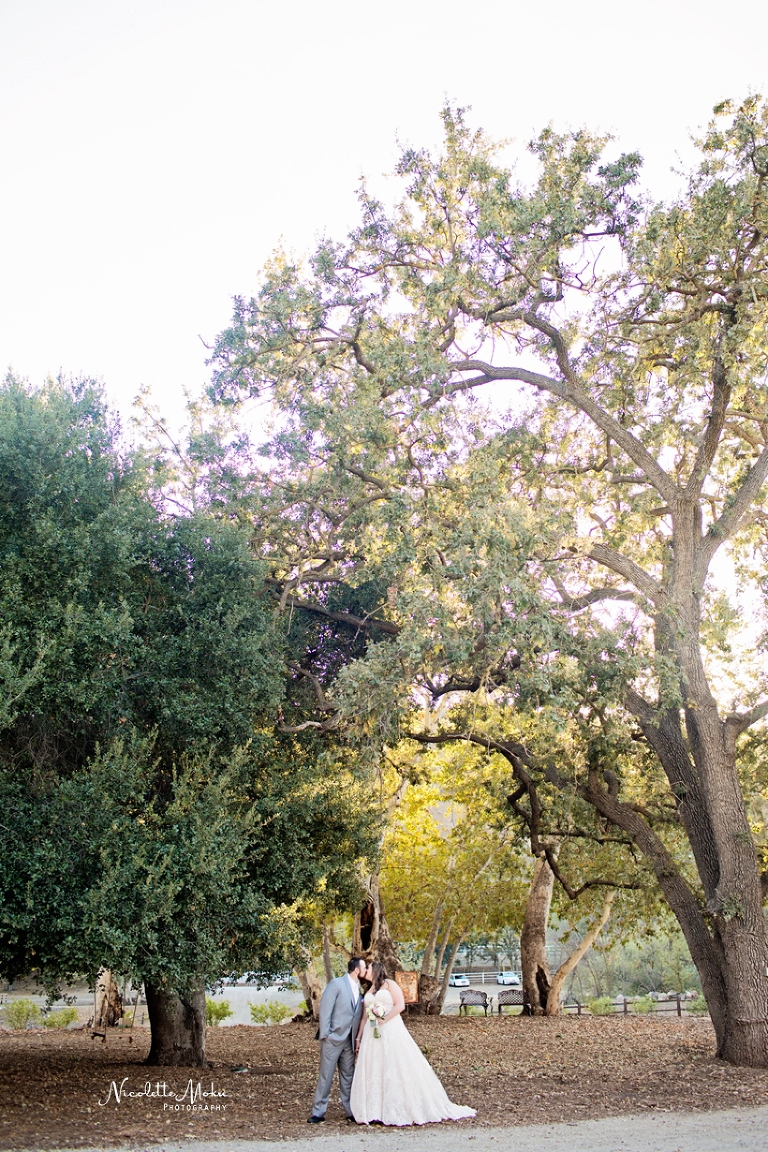 triunfo vineyard wedding, agoura hills wedding, winery wedding, malibu winery wedding, rustic wedding, southern california wedding, socal wedding, blush wedding, diy wedding, oak tree wedding, feathered arrow events, kreative hands, nicolette moku photographer, whittier photographer, los angeles wedding photographer, whittier wedding photographer, orange county wedding photographer, natural light wedding photographer