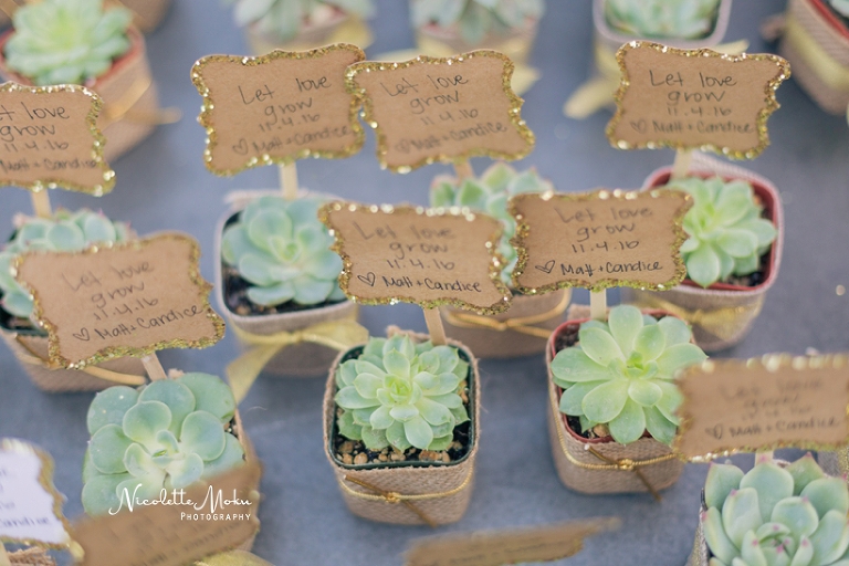 triunfo vineyard wedding, agoura hills wedding, winery wedding, malibu winery wedding, rustic wedding, southern california wedding, socal wedding, blush wedding, diy wedding, oak tree wedding, feathered arrow events, kreative hands, nicolette moku photographer, whittier photographer, los angeles wedding photographer, whittier wedding photographer, orange county wedding photographer, natural light wedding photographer