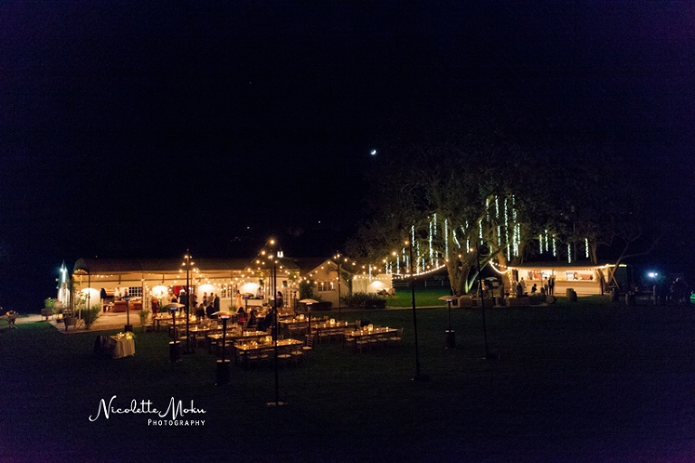 triunfo vineyard wedding, agoura hills wedding, winery wedding, malibu winery wedding, rustic wedding, southern california wedding, socal wedding, blush wedding, diy wedding, oak tree wedding, feathered arrow events, kreative hands, nicolette moku photographer, whittier photographer, los angeles wedding photographer, whittier wedding photographer, orange county wedding photographer, natural light wedding photographer