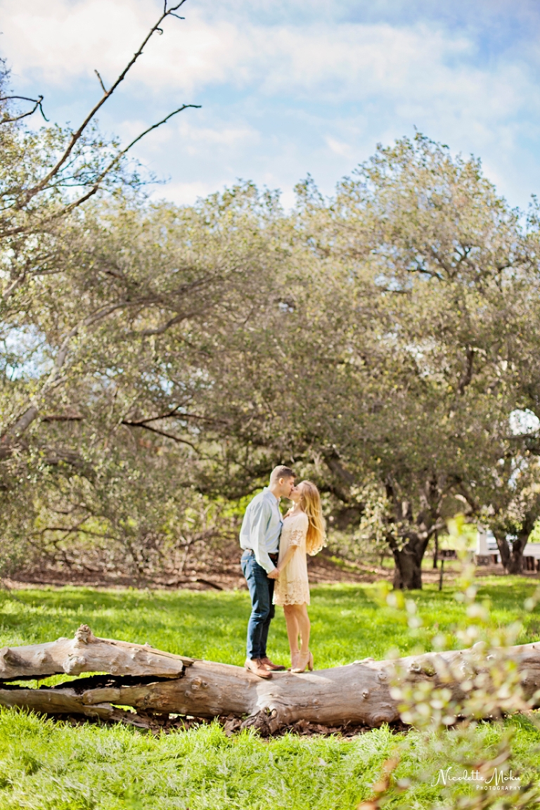 irvine engagement session, orange county engagement session, nature engagement session, outdoor engagement session, natural light portraits, irvine regional park portraits, whittier photographer, whittier engagement photographer, whittier wedding photographer, nature preserve portraits, orange county wedding photographer