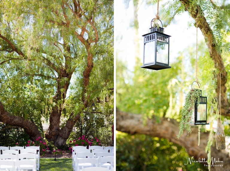 clarement wedding, backyard wedding, diy wedding, southern california diy wedding, so cal diy wedding, elegant wedding, blush wedding, beige wedding, california outdoor wedding, so cal wedding photographer, southern california wedding photographer, whittier wedding photographer, whittier photographer, natural light photographer, lifestyle photographer, timeless photography