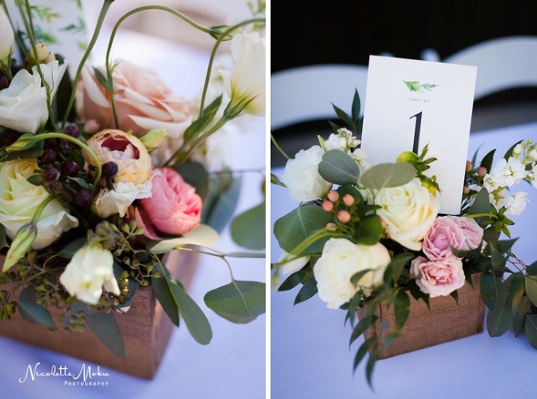 clarement wedding, backyard wedding, diy wedding, southern california diy wedding, so cal diy wedding, elegant wedding, blush wedding, beige wedding, california outdoor wedding, so cal wedding photographer, southern california wedding photographer, whittier wedding photographer, whittier photographer, natural light photographer, lifestyle photographer, timeless photography