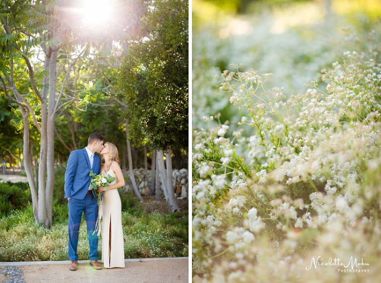 clarement wedding, backyard wedding, diy wedding, southern california diy wedding, so cal diy wedding, elegant wedding, blush wedding, beige wedding, california outdoor wedding, so cal wedding photographer, southern california wedding photographer, whittier wedding photographer, whittier photographer, natural light photographer, lifestyle photographer, timeless photography
