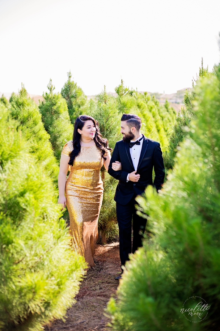 christmas portraits, christmas tree photos, peltzer pines, couple portraits, engagement photos, outdoor portraits, whittier photographer, whittier wedding photographer, whittier engagement photographer, natural light photographer, formal outdoor portraits