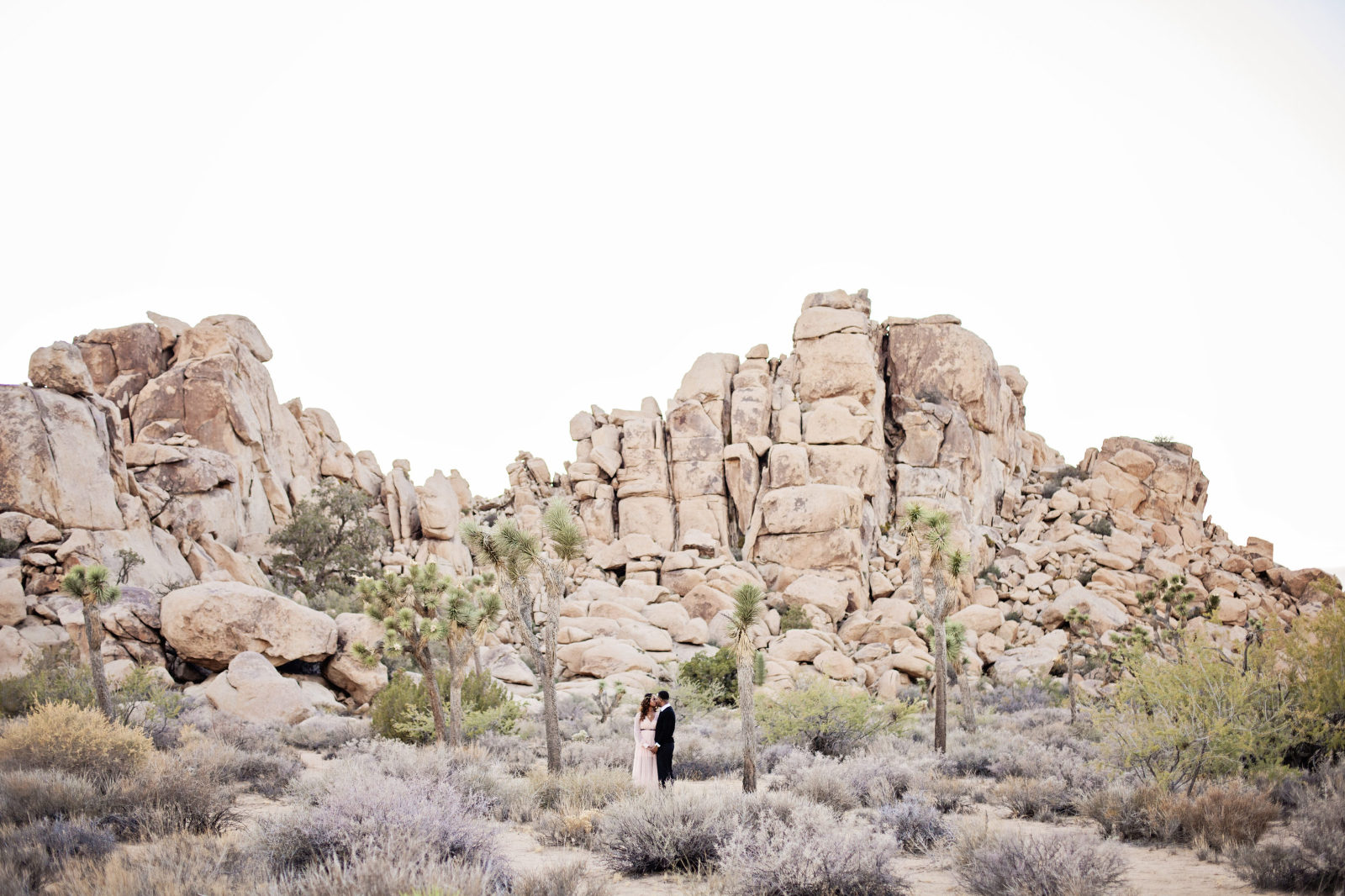 southern california wedding photographer, california destination photographer, boutique wedding photographer, whittier wedding photographer, whittier family photographer, whittier maternity photographer, golden light, romantic wedding photos, feminine wedding photos, timeless wedding, elegant wedding photos, desert engagement photos, joshua tree engagement photos, joshua tree portraits, desert portraits, desert lifestyle photos