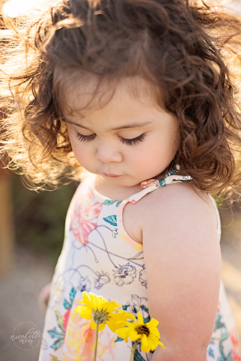 toddler portraits, toddler outdoor portraits, whittier photographer, whittier family photographer, whittier lifestyle photographer, newport back bay photos, outdoor children photographer, 2 year old portraits, 2 year old outdoor photos, sunset photos, sunset portraits, golden hour portraits, nature portraits, whittier natural light photographer, spring portraits