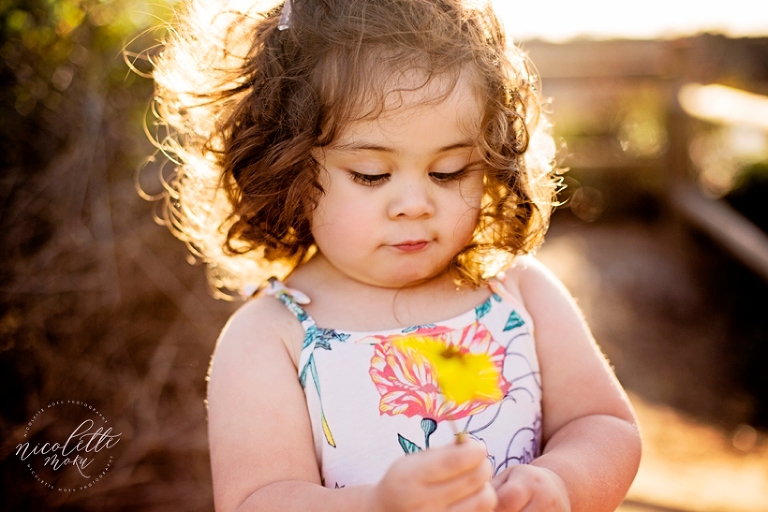 toddler portraits, toddler outdoor portraits, whittier photographer, whittier family photographer, whittier lifestyle photographer, newport back bay photos, outdoor children photographer, 2 year old portraits, 2 year old outdoor photos, sunset photos, sunset portraits, golden hour portraits, nature portraits, whittier natural light photographer, spring portraits