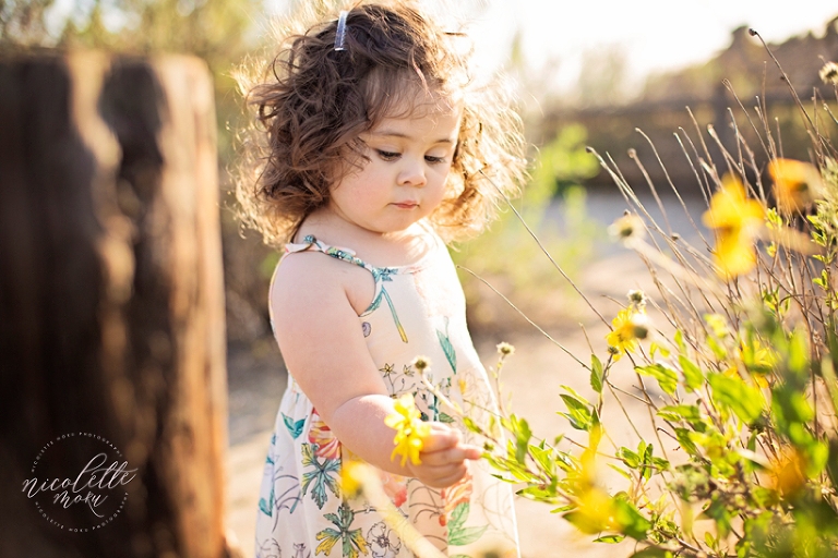 toddler portraits, toddler outdoor portraits, whittier photographer, whittier family photographer, whittier lifestyle photographer, newport back bay photos, outdoor children photographer, 2 year old portraits, 2 year old outdoor photos, sunset photos, sunset portraits, golden hour portraits, nature portraits, whittier natural light photographer, spring portraits