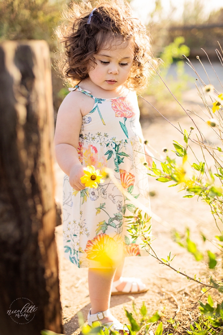 toddler portraits, toddler outdoor portraits, whittier photographer, whittier family photographer, whittier lifestyle photographer, newport back bay photos, outdoor children photographer, 2 year old portraits, 2 year old outdoor photos, sunset photos, sunset portraits, golden hour portraits, nature portraits, whittier natural light photographer, spring portraits