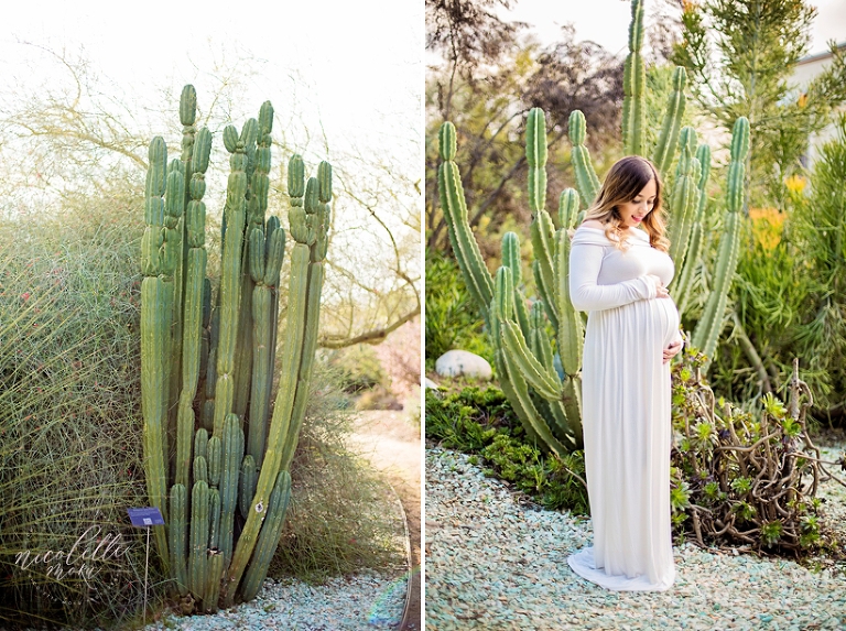 outdoor maternity session, sunset maternity portraits, sunset maternity session, garden maternity session, pasadena maternity photos, whittier maternity photographer, whittier family photographer, whittier lifestyle photographer, soft and romantic photography, timeless photography, whittier photographer, bright maternity pictures