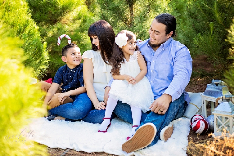 holiday family photos, christmas tree pictures, christmas tree farm, peltzer pines portraits, christmas family pictures, whittier family photographer, whittier holiday family pictures, whittier photographer