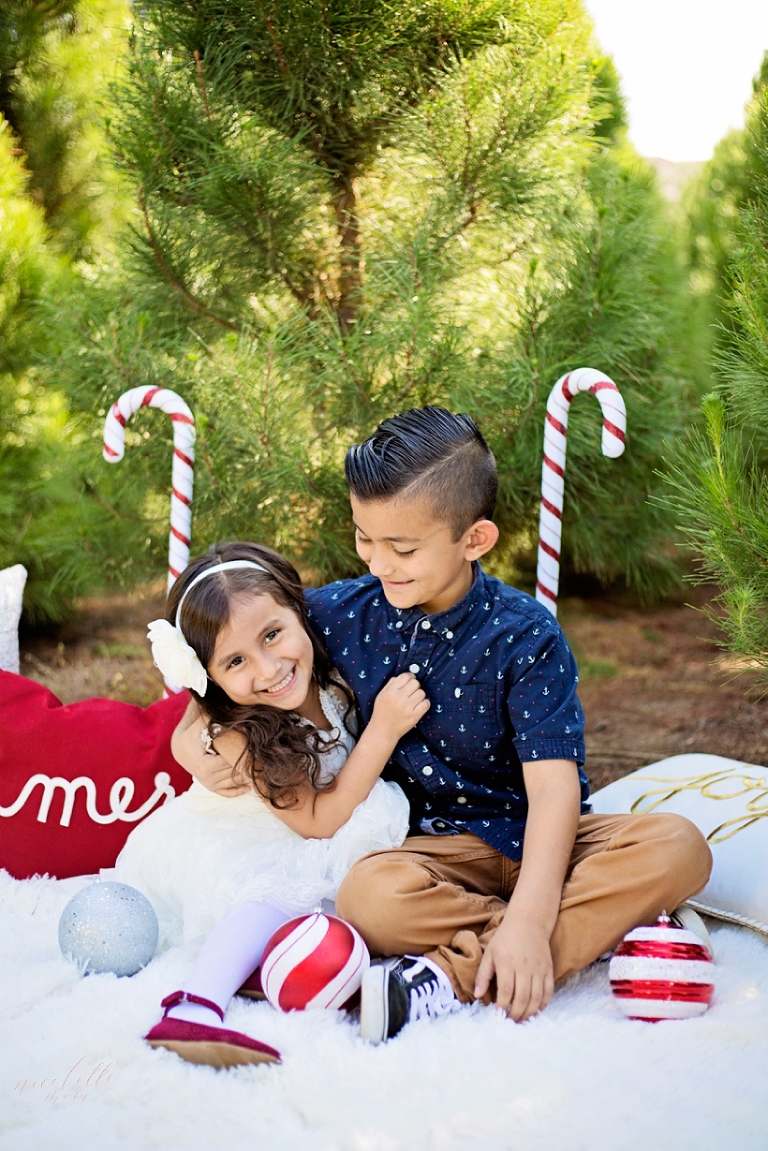 holiday family photos, christmas tree pictures, christmas tree farm, peltzer pines portraits, christmas family pictures, whittier family photographer, whittier holiday family pictures, whittier photographer