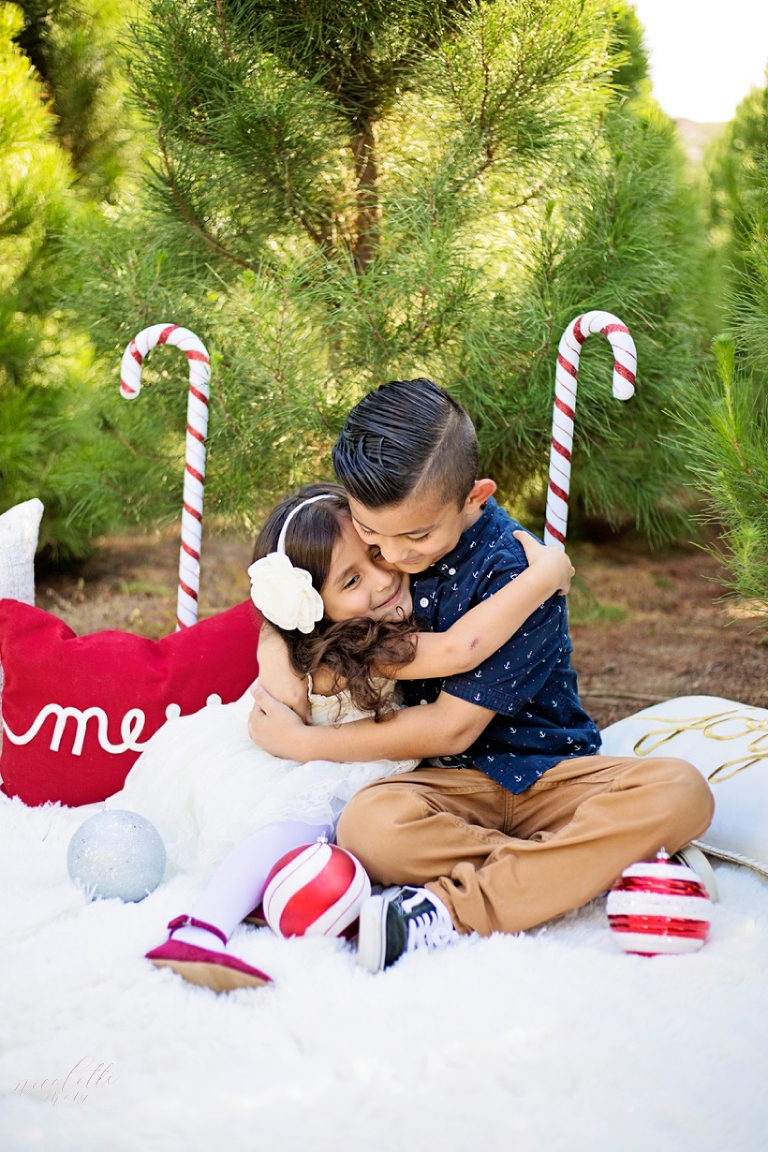 holiday family photos, christmas tree pictures, christmas tree farm, peltzer pines portraits, christmas family pictures, whittier family photographer, whittier holiday family pictures, whittier photographer