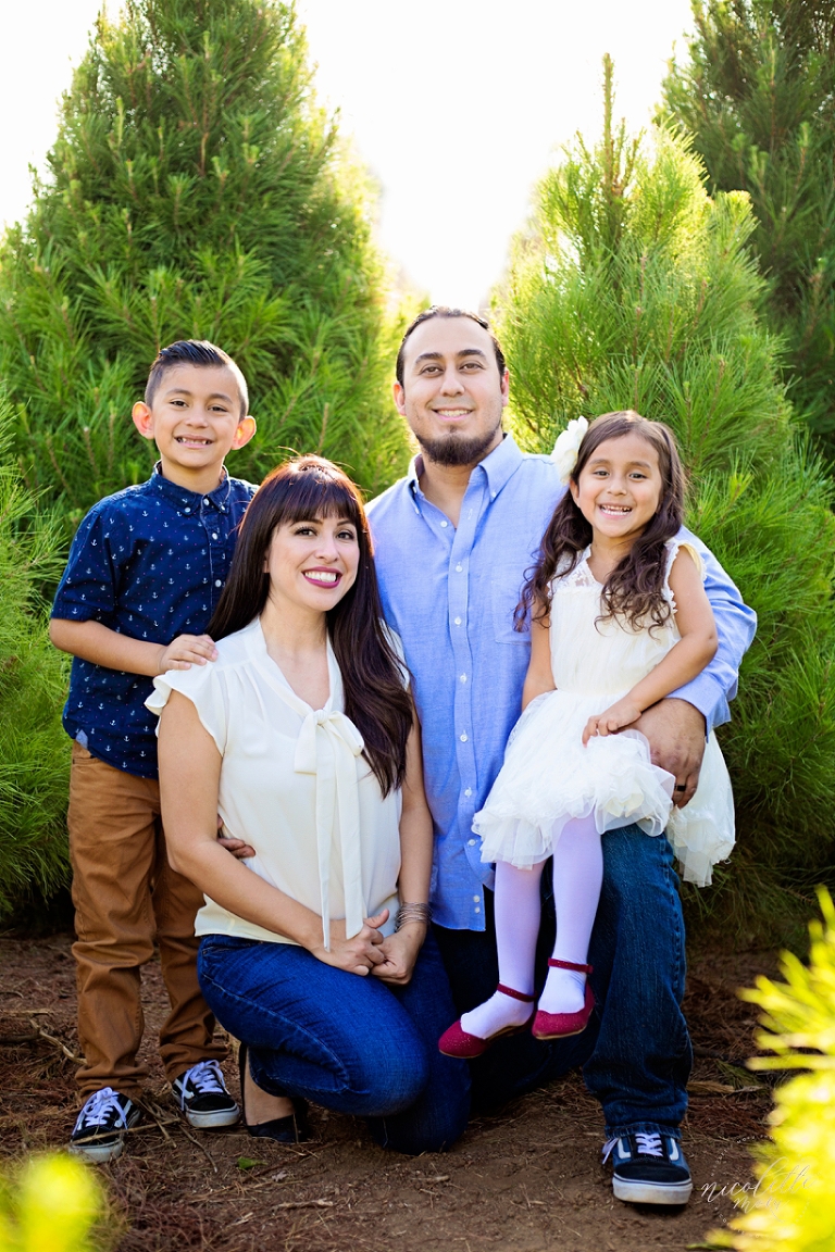 holiday family photos, christmas tree pictures, christmas tree farm, peltzer pines portraits, christmas family pictures, whittier family photographer, whittier holiday family pictures, whittier photographer