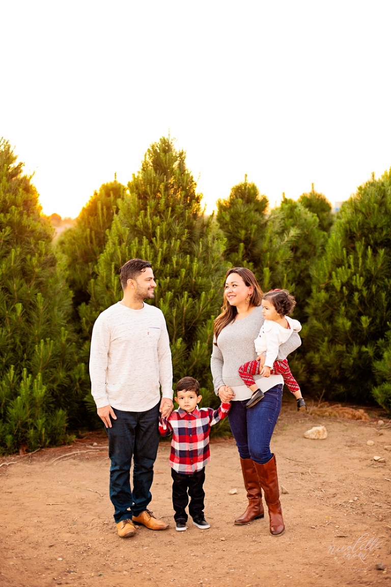 holiday family photos, holiday family portraits, whittier family photos, whittier family portraits, lifestyle family photos, lifestyle family pictures, natural light family photos, natural light family photos, whittier photographer, whittier family photographer, christmas photos, christmas tree family pictures, plaid outfits, sunset family photos