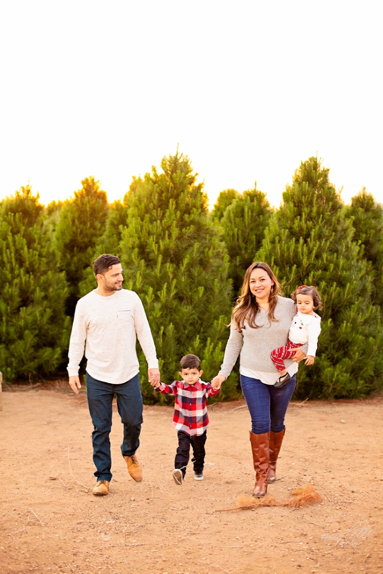 holiday family photos, holiday family portraits, whittier family photos, whittier family portraits, lifestyle family photos, lifestyle family pictures, natural light family photos, natural light family photos, whittier photographer, whittier family photographer, christmas photos, christmas tree family pictures, plaid outfits, sunset family photos