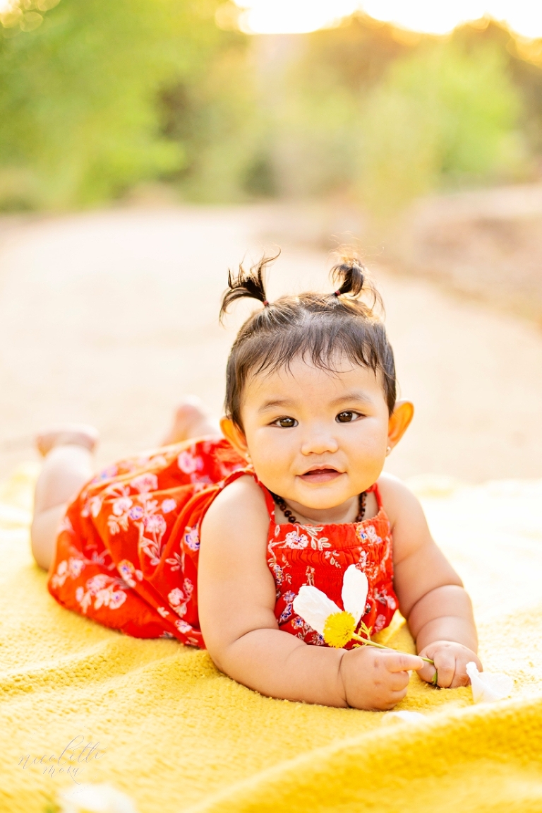 baby portraits, baby photography, baby pictures, 6 month baby portraits, outdoor family photos, outdoor baby portraits, nature, whittier family photographer, whittier family photos, outdoor family photos in whittier, whittier photographer
